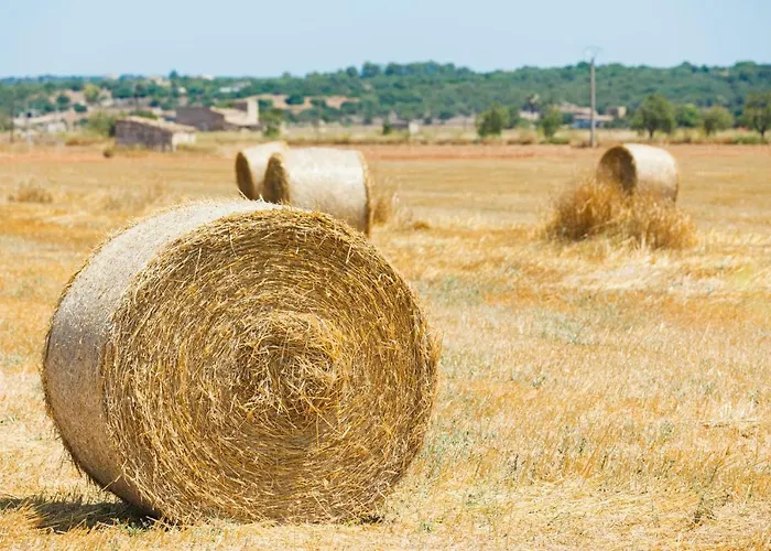 度假居 102 Caselles De Baix Etv392 By Mallorca Charme *