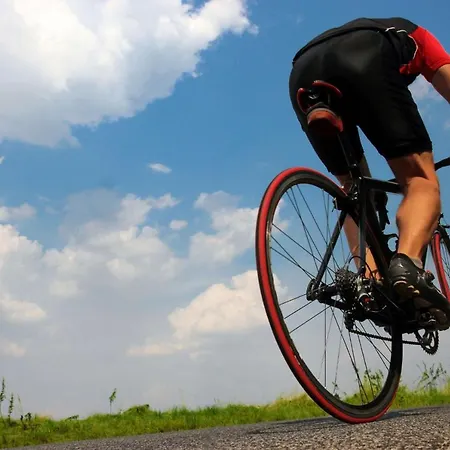 102 Caselles De Baix Etv392 By Mallorca Charme 포엔샤