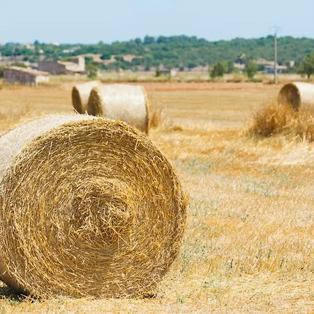 펜션 102 Caselles De Baix Etv392 By Mallorca Charme *