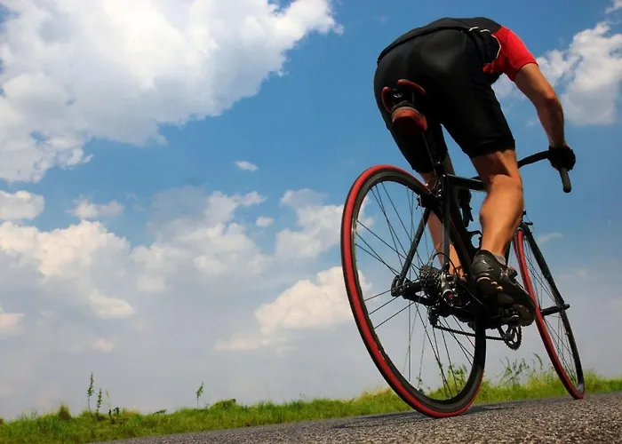 102 Caselles De Baix Etv392 By Mallorca Charme Pollensa